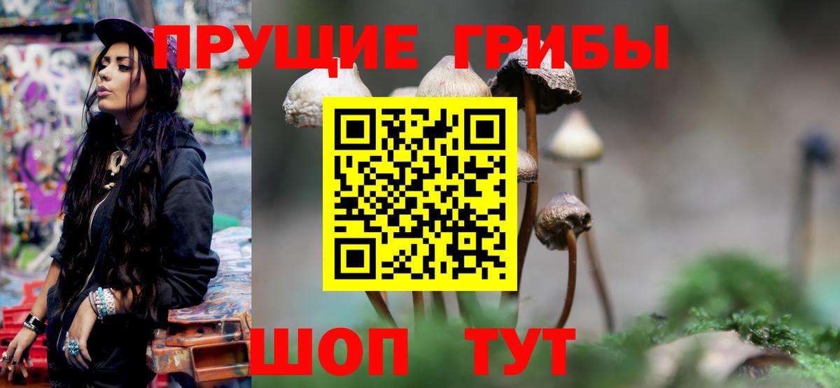 что такое   Вход с VPN  Армавир  Псилоцибиновые грибы Psilocybine cubensis 